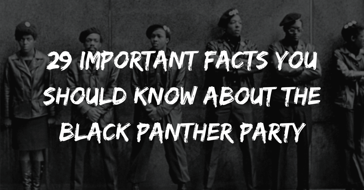 29 Important Facts You Should Know About the Black Panther Party
